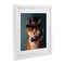 Stupell Industries Charming Dapper Fox Framed Print Under Glass, design by Lucia Heffernan
